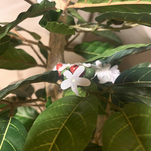 光触媒 人工観葉植物 ウォールグリーン フェイクグリーン コーヒーの木