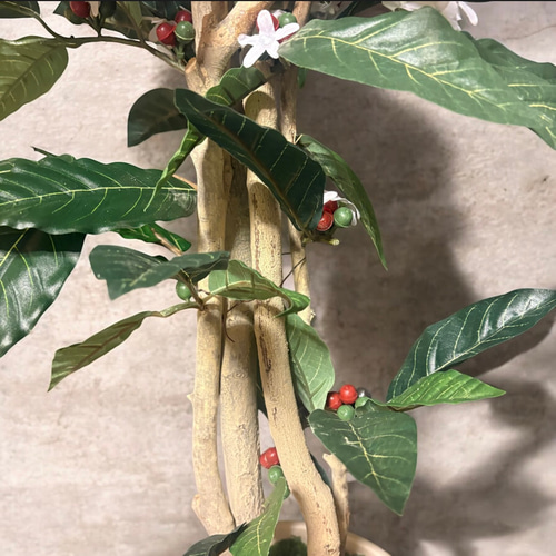 光触媒　人工観葉植物　ウォールグリーン　フェイクグリーン　コーヒーの木g@'t 光触媒 人工観葉植物 ウォールグリーン フェイクグリーン コーヒーの木