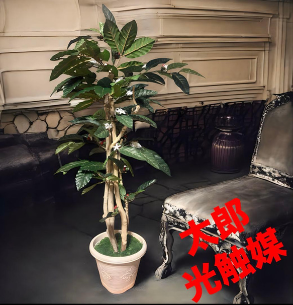 光触媒 人工観葉植物 ウォールグリーン フェイクグリーン コーヒーの木