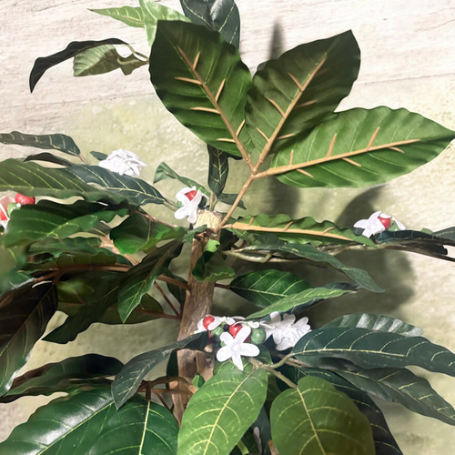 光触媒 人工観葉植物 ウォールグリーン フェイクグリーン コーヒーの木