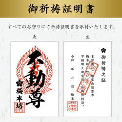 【限定1本】バルト海産琥珀 ゴールドタイチンルチルクォーツ シトリン 天然水晶のお守りブレスレット 10枚目の画像