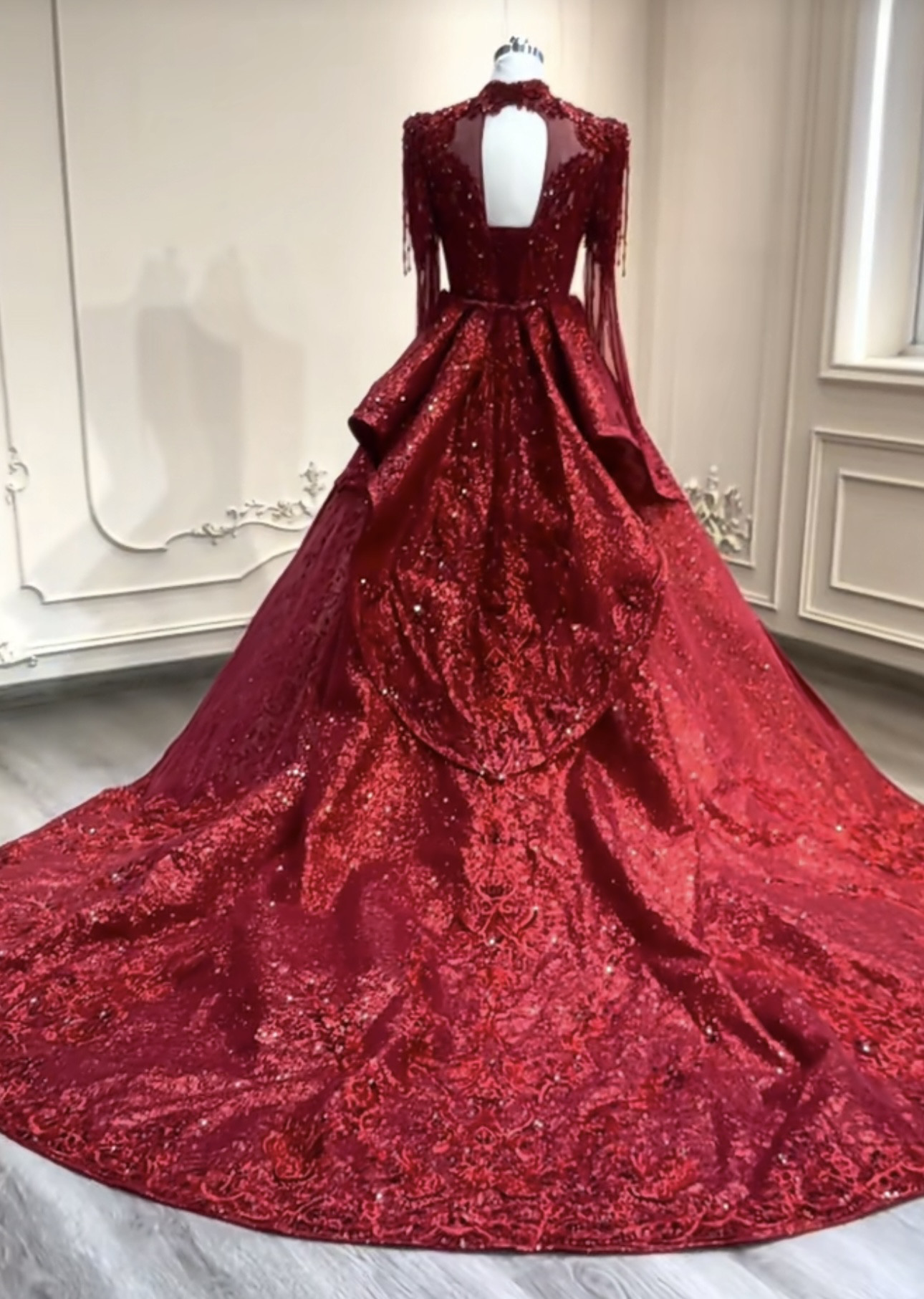 WEB限定　ラッパ袖　シースルー長袖トレーン　編み上げ　背中空き花嫁　マーメイドドレス　パーティー演奏会コンテスト発表会