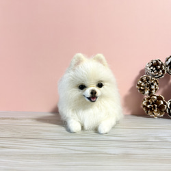 羊毛フェルト ポメラニアンのフラワーバスケット 白ポメ 羊毛フェルト