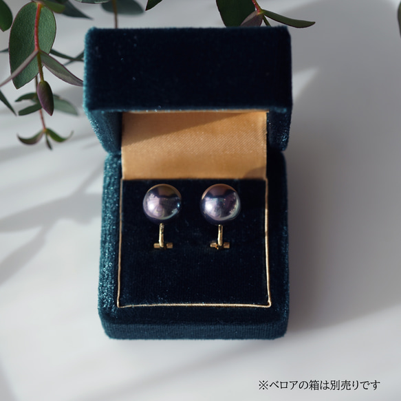 碩大、光澤亮麗的孔雀貝殼珍珠耳環（10毫米）和醫用級不銹鋼耳環 - 黑燕尾 第9張的照片