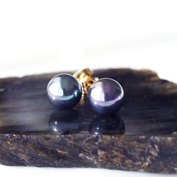 碩大、光澤亮麗的孔雀貝殼珍珠耳環（10毫米）和醫用級不銹鋼耳環 - 黑燕尾 第7張的照片