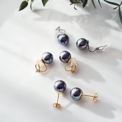 碩大、光澤亮麗的孔雀貝殼珍珠耳環（10毫米）和醫用級不銹鋼耳環 - 黑燕尾 第2張的照片