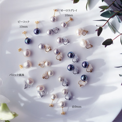 碩大、光澤亮麗的孔雀貝殼珍珠耳環（10毫米）和醫用級不銹鋼耳環 - 黑燕尾 第11張的照片