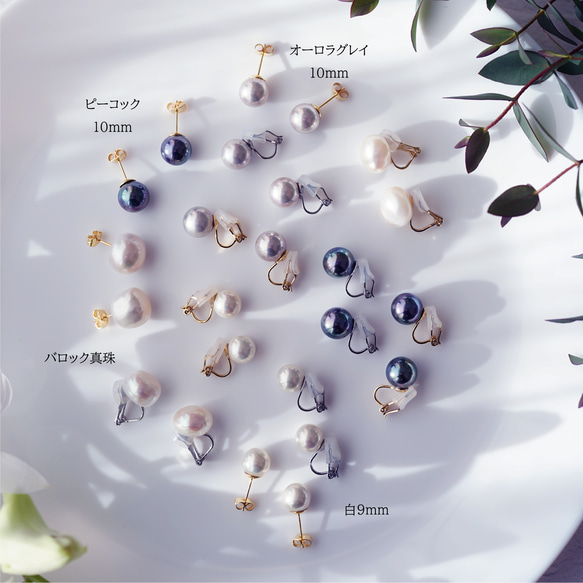 碩大、光澤亮麗的孔雀貝殼珍珠耳環（10毫米）和醫用級不銹鋼耳環 - 黑燕尾 第11張的照片