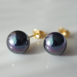 碩大、光澤亮麗的孔雀貝殼珍珠耳環（10毫米）和醫用級不銹鋼耳環 - 黑燕尾 第8張的照片