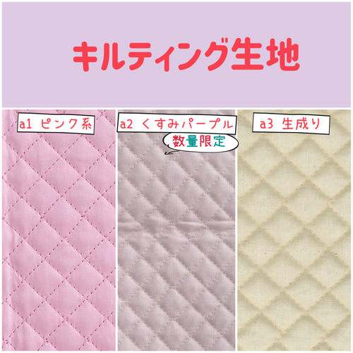 入園 入学 用品☆ レッスンバッグ オーダー 受注注文 受付中 女の子