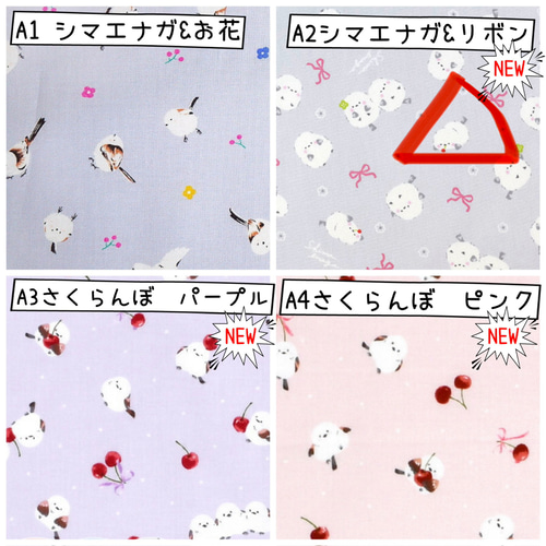 入園 入学 用品☆ レッスンバッグ オーダー 受注注文 受付中 女の子