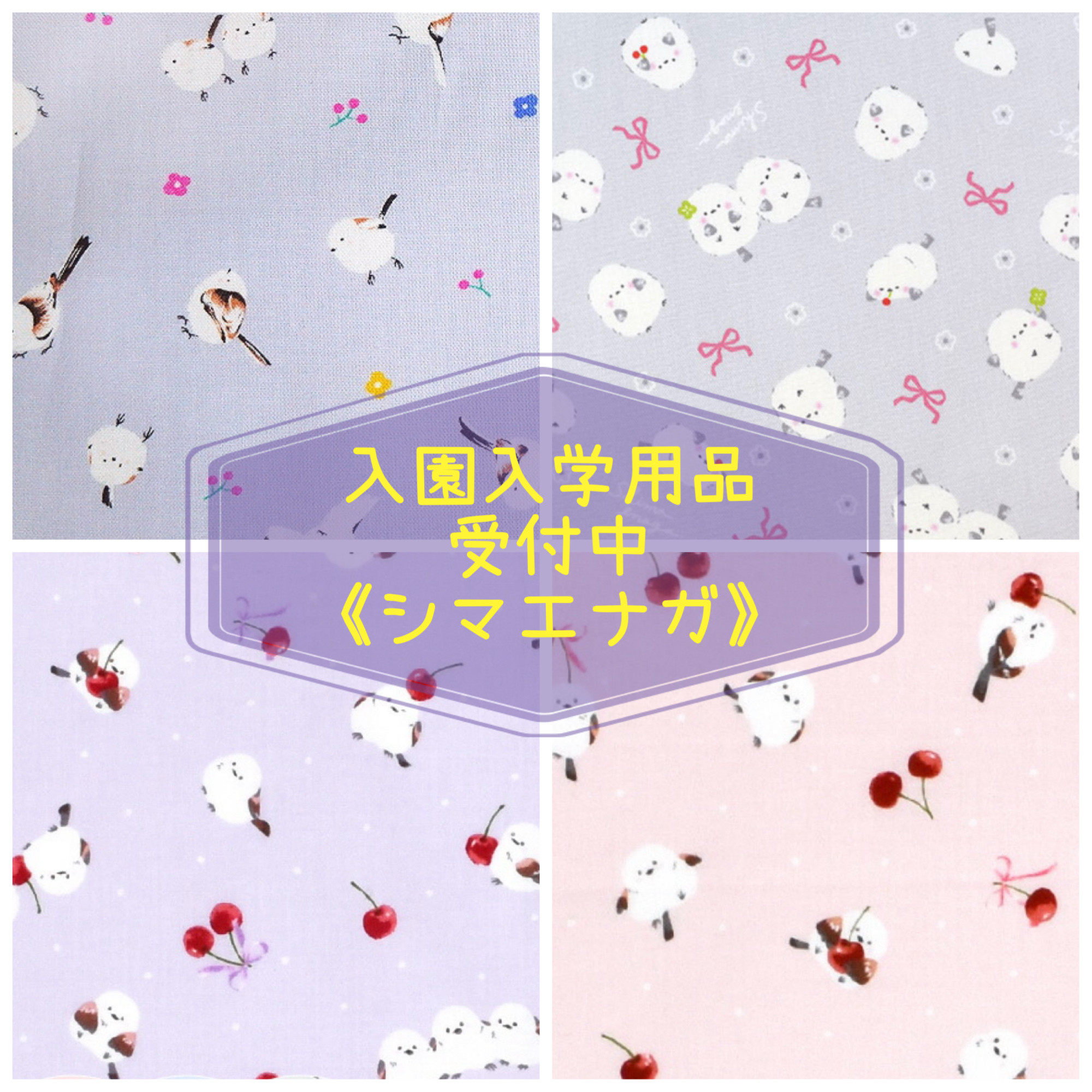 入園 入学 用品☆ レッスンバッグ オーダー 受注注文 受付中 女の子