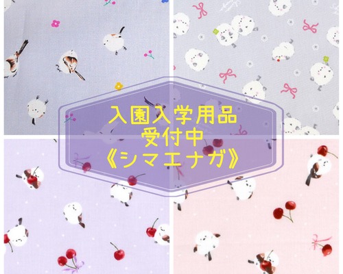 入園 入学 用品☆ レッスンバッグ オーダー 受注注文 受付中 女の子