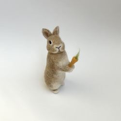 うさぎ 羊毛フェルト ロップイヤー ホーランドロップ ネザーランド