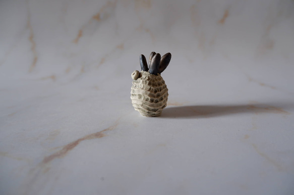 ミニ白樹土鬼香立て2　塊根植物　多肉植物　盆栽　植木鉢　作家鉢　ミニチュア　沖縄 3枚目の画像