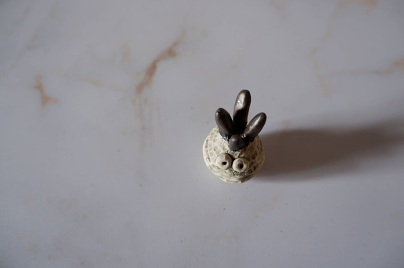 ミニ白樹土鬼香立て2　塊根植物　多肉植物　盆栽　植木鉢　作家鉢　ミニチュア　沖縄 4枚目の画像