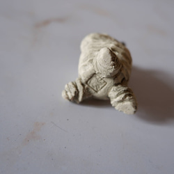 ミニ白樹土鬼香立て3　塊根植物　多肉植物　盆栽　植木鉢　作家鉢　ミニチュア　沖縄 6枚目の画像