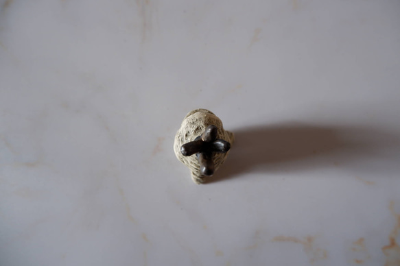 ミニ白樹土鬼香立て3　塊根植物　多肉植物　盆栽　植木鉢　作家鉢　ミニチュア　沖縄 5枚目の画像