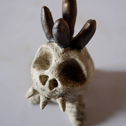 ミニ白髑髏樹土鬼香立て5　塊根植物　多肉植物　盆栽　植木鉢　作家鉢　ミニチュア　沖縄 2枚目の画像