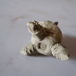 ミニ白髑髏樹土鬼香立て5　塊根植物　多肉植物　盆栽　植木鉢　作家鉢　ミニチュア　沖縄 6枚目の画像