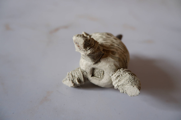 ミニ白髑髏樹土鬼香立て5　塊根植物　多肉植物　盆栽　植木鉢　作家鉢　ミニチュア　沖縄 6枚目の画像