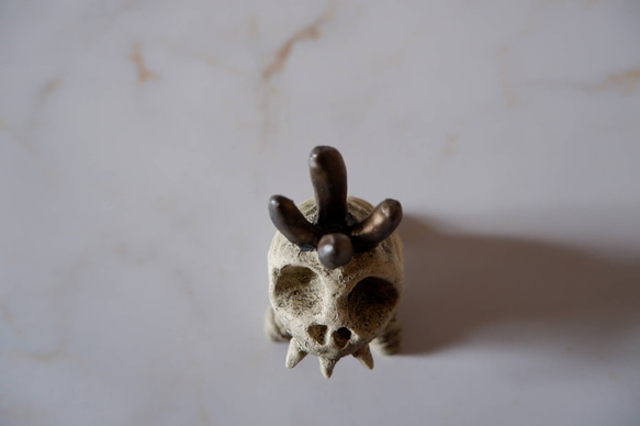 ミニ白髑髏樹土鬼香立て5　塊根植物　多肉植物　盆栽　植木鉢　作家鉢　ミニチュア　沖縄 4枚目の画像