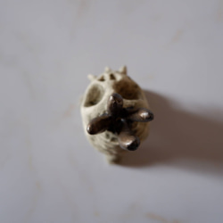 ミニ白髑髏樹土鬼香立て5　塊根植物　多肉植物　盆栽　植木鉢　作家鉢　ミニチュア　沖縄 5枚目の画像