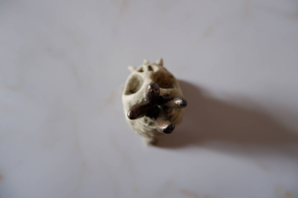 ミニ白髑髏樹土鬼香立て5　塊根植物　多肉植物　盆栽　植木鉢　作家鉢　ミニチュア　沖縄 5枚目の画像