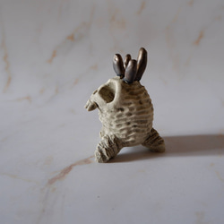 ミニ白髑髏樹土鬼香立て5　塊根植物　多肉植物　盆栽　植木鉢　作家鉢　ミニチュア　沖縄 3枚目の画像