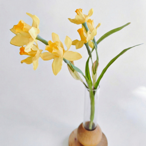 季節の花】春を告げる水仙の一輪挿し Spring マジカルウォーター