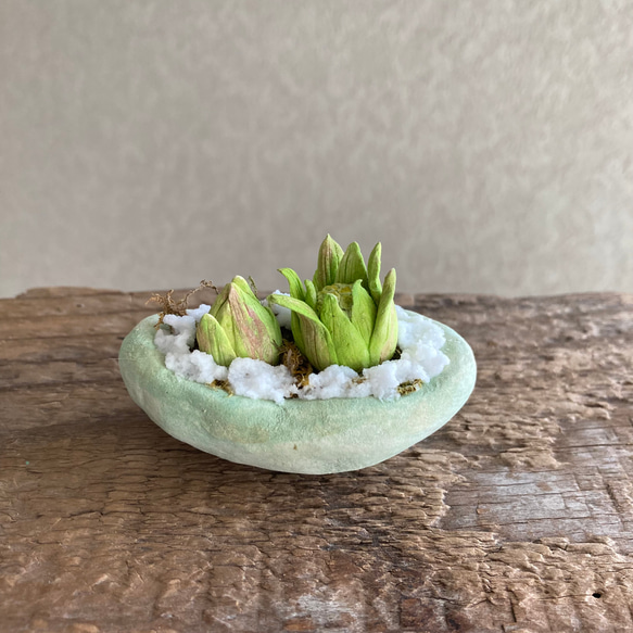 9983.bud 粘土の鉢植え フキノトウ 1枚目の画像