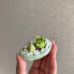 9983.bud 粘土の鉢植え フキノトウ 6枚目の画像