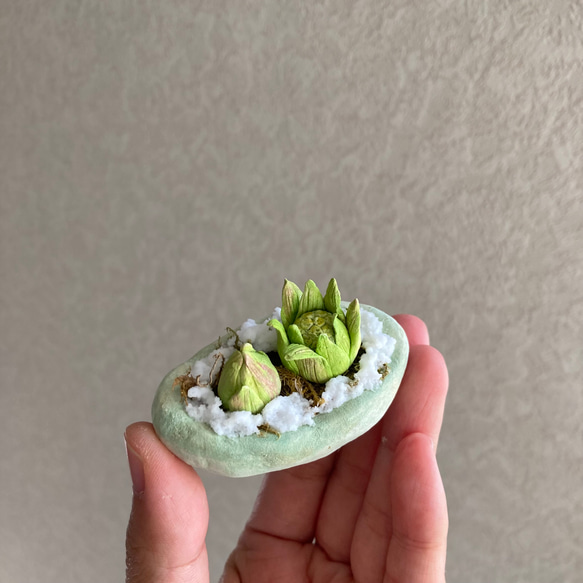 9983.bud 粘土の鉢植え フキノトウ 6枚目の画像