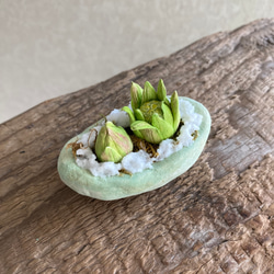 9983.bud 粘土の鉢植え フキノトウ 4枚目の画像