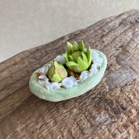 9983.bud 粘土の鉢植え フキノトウ 4枚目の画像