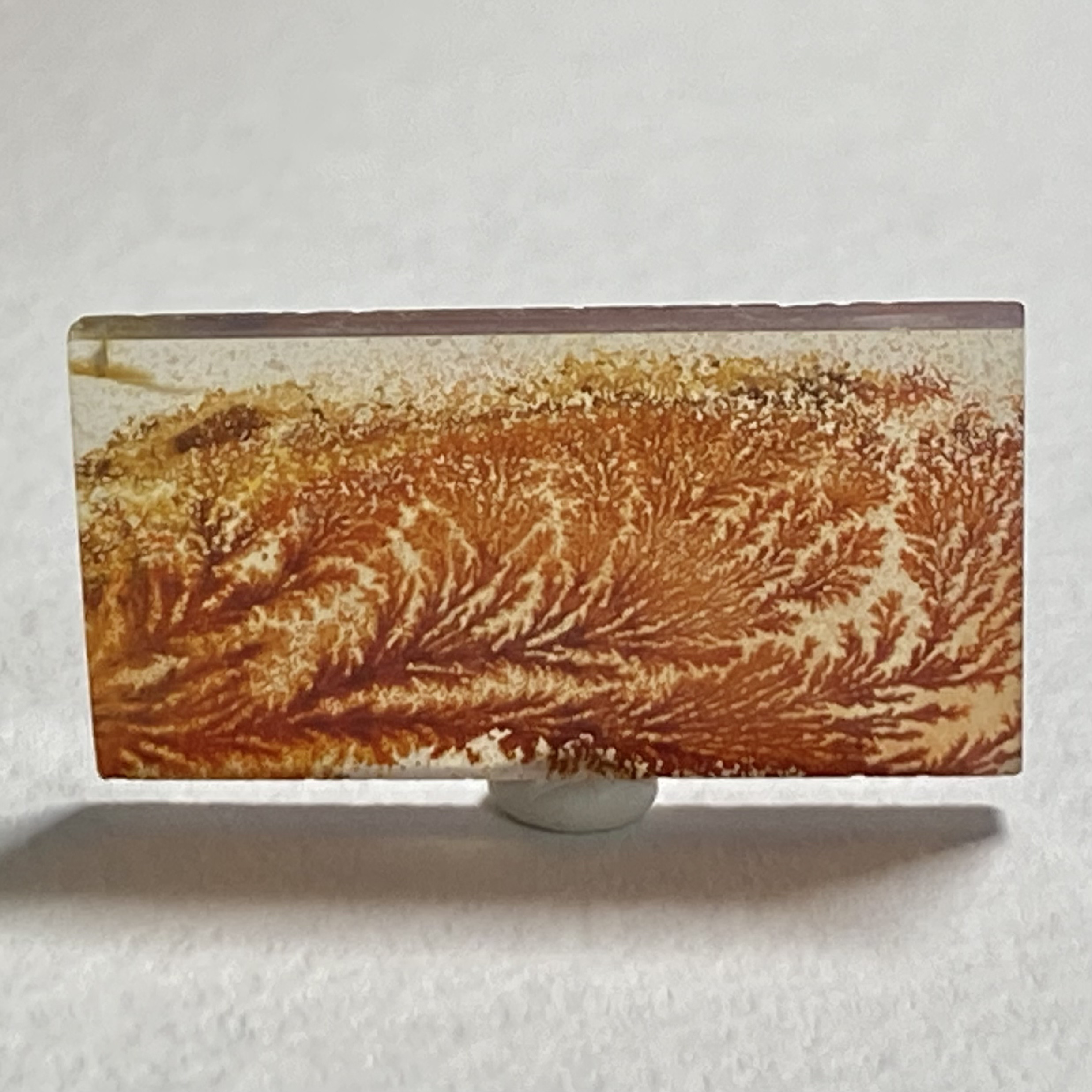 CA103デンドリティックアゲート