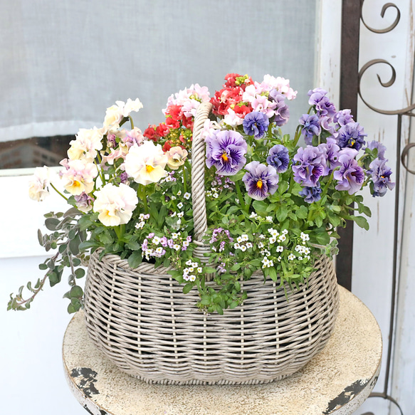 イギリス アンティーク ハンドメイド バスケット 花柄 値引きセール 現品販売 季節の花寄せ植え ブルー＆ピンク ナチュラル