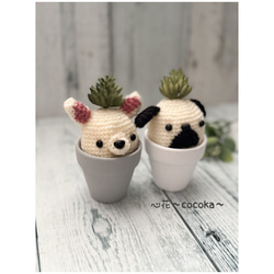 ミニツリー＆多肉植物・フェイクグリーン クリスマスアレンジ 多肉植物