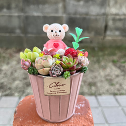 ☆送料無料☆♡そのまま飾れる♡かごバスケット♬可愛い多肉植物寄せ