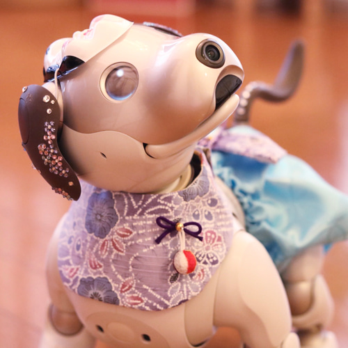 aibo の洋服　アイボの服　(七五三フルセット)　和柄　最後の1点になります。 aibo の洋服 アイボの服 (七五三フルセット) 和柄 最後の1点となり