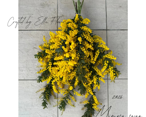 2026年ミモザのスワッグ＊予約販売＊自宅のガーデンから＊2サイズ展開