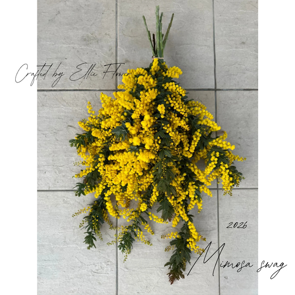 2026年ミモザのスワッグ＊予約販売＊自宅のガーデンから＊2サイズ展開