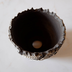 4号白化粧捻り裂紋黒鉢372　塊根植物　多肉植物　アガベ　盆栽　植木鉢　作家鉢　鉢台　沖縄 4枚目の画像