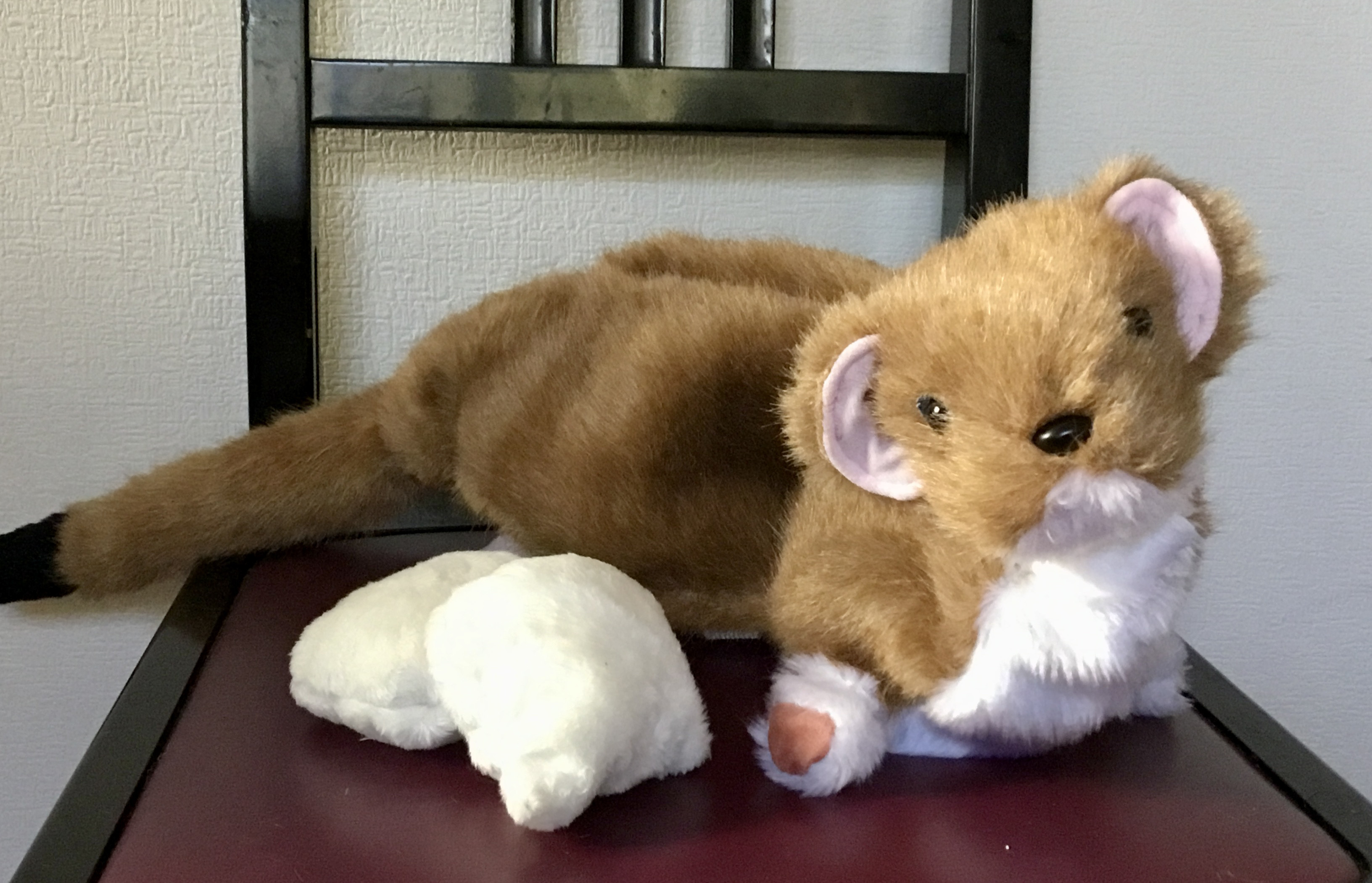 オコジョ、テイシュボックスのカバー（リバーシブル）