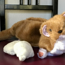 シーズー犬のぬいぐるみ ぬいぐるみ ゴリ 通販 13136737｜Creema