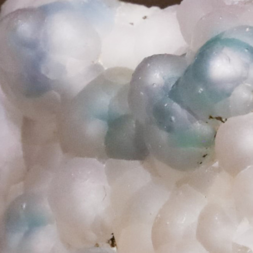 もはや現代アート(・∀・)イイ!! 「2022年発見!?☆彡」 天然