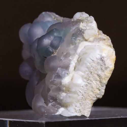 もはや現代アート(・∀・)イイ!! 「2022年発見!?☆彡」 天然