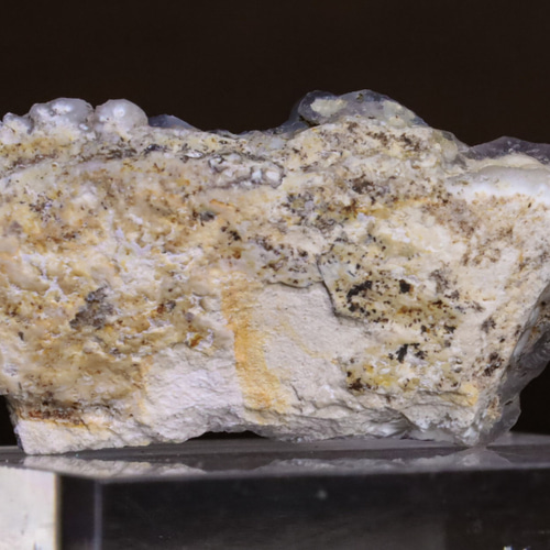 もはや現代アート(・∀・)イイ!! 「2022年発見!?☆彡」 天然