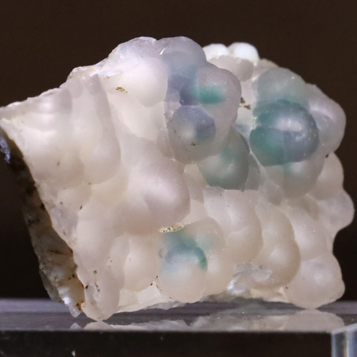 もはや現代アート(・∀・)イイ!! 「2022年発見!?☆彡」 天然