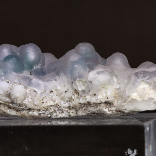 もはや現代アート(・∀・)イイ!! 「2022年発見!?☆彡」 天然